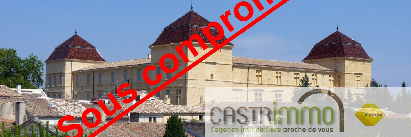 vente Immeuble commercial Castries