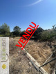 vente Terrain constructible Sussargues