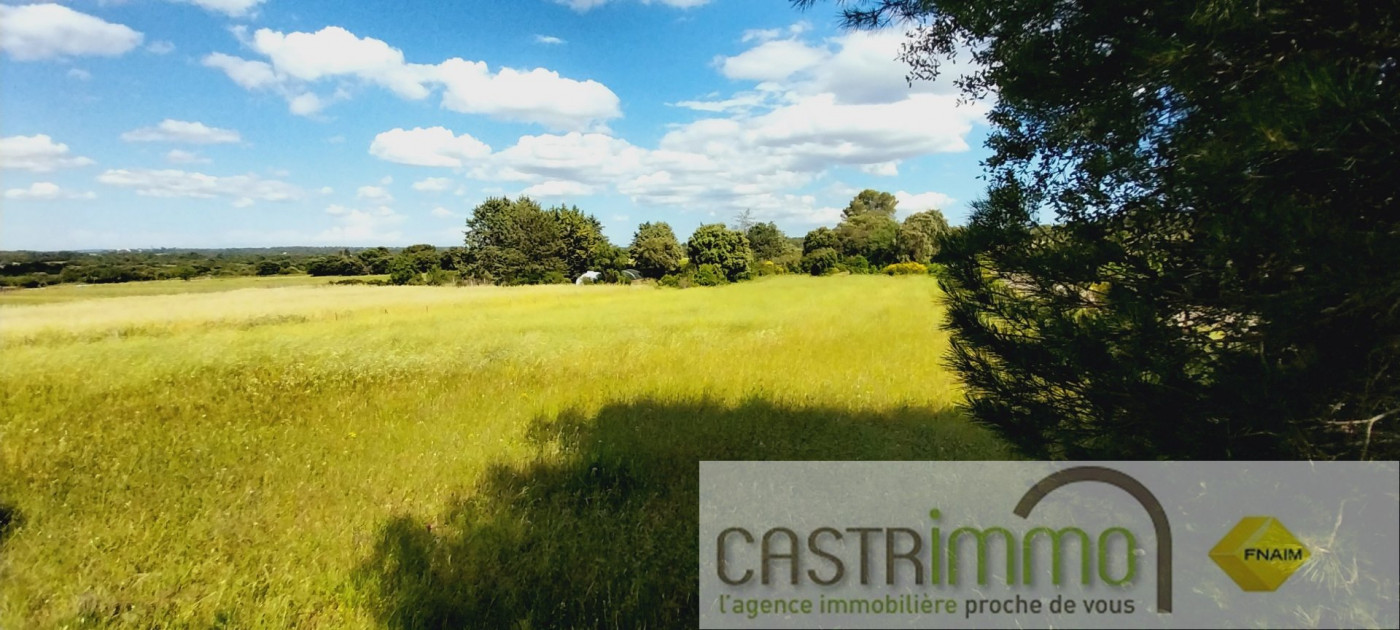 vente Terrain agricole Sussargues - Photo 3