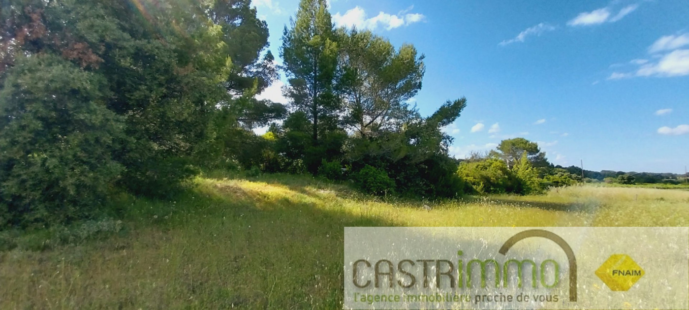 vente Terrain agricole Sussargues - Photo 4