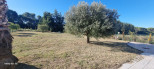 location Maison Entre-vignes