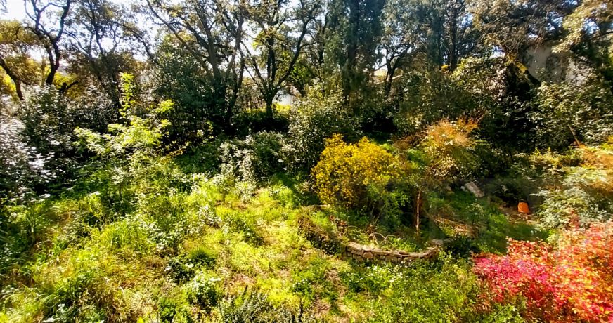 vente Bastide Castries