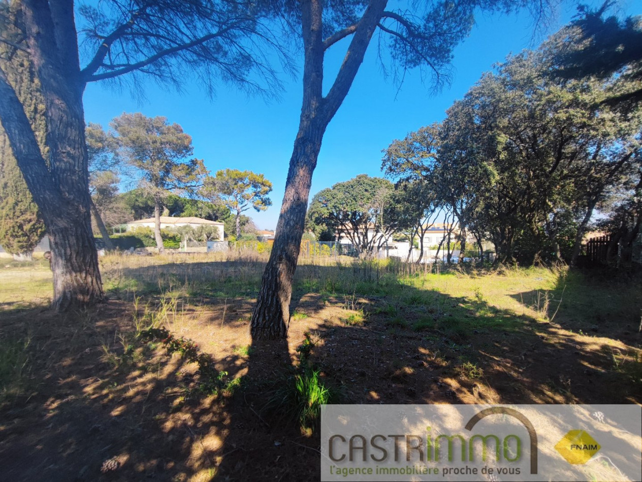 vente Terrain Castries - Photo 2