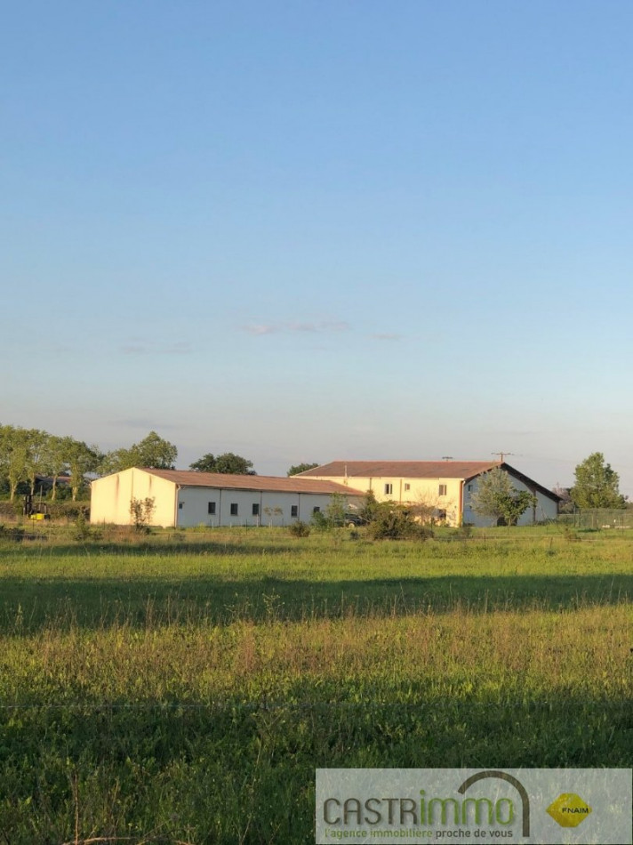 vente Haras / equestre Castries - Photo 1