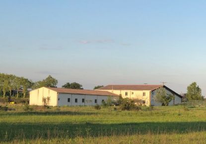 vente Haras / equestre Castries