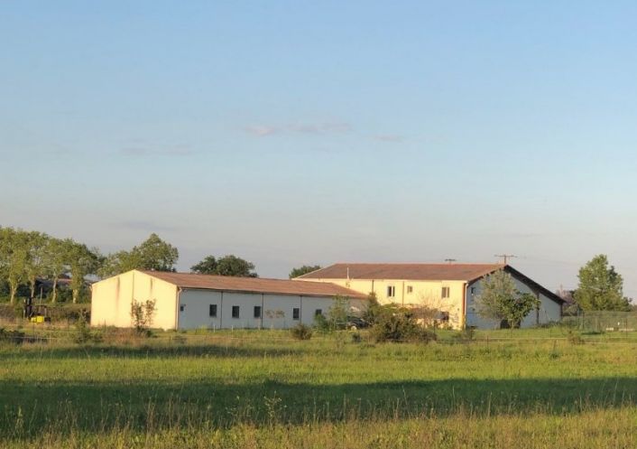 vente Haras / equestre Castries