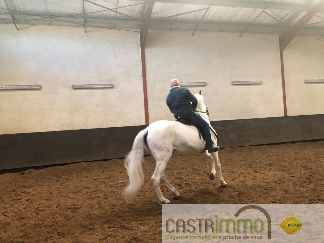 vente Haras / equestre Castries - Photo 3