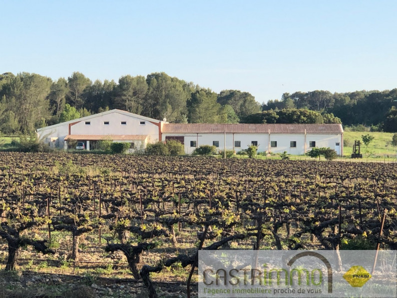 vente Haras / equestre Castries - Photo 6