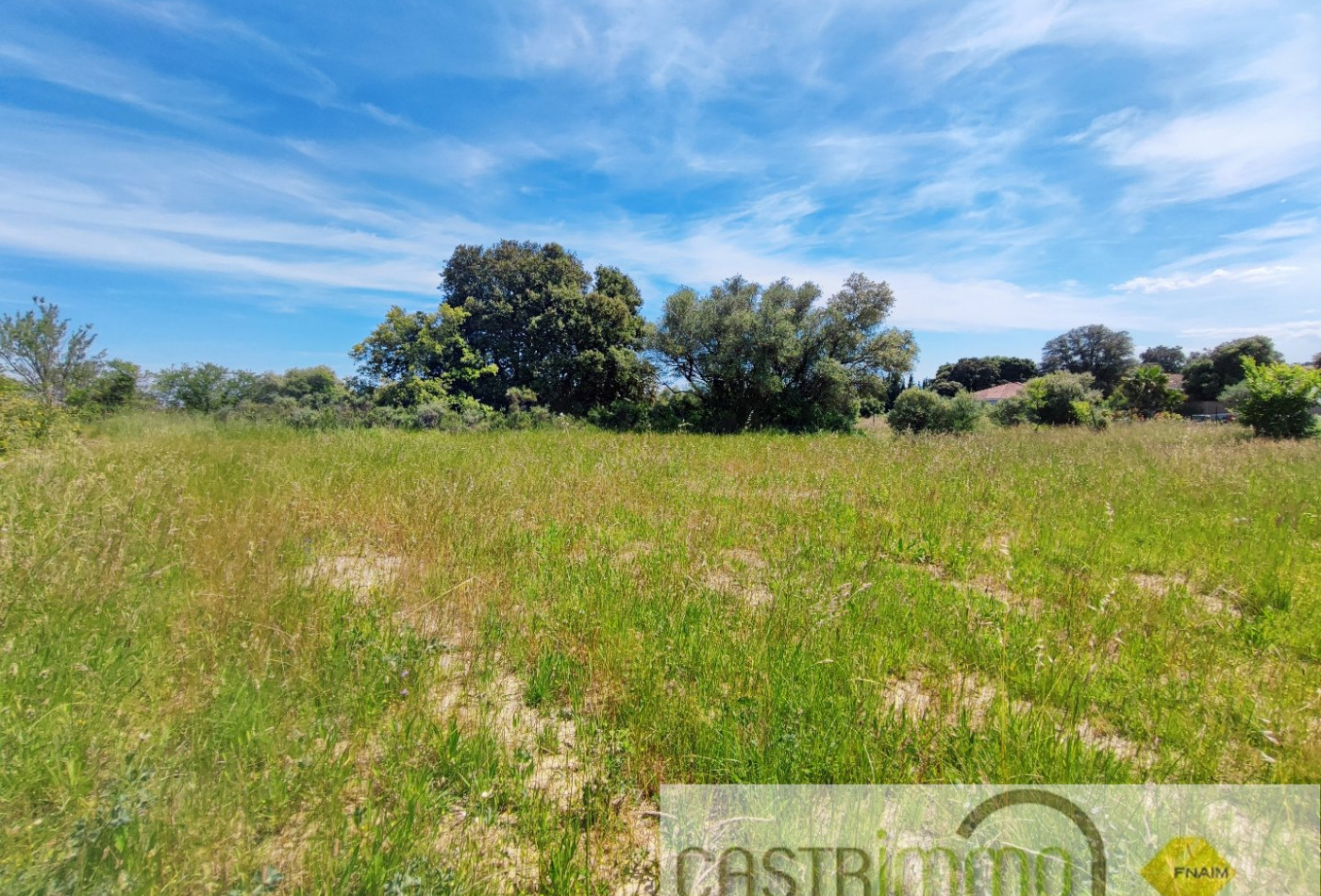 vente Terrain constructible Castries - Photo 3