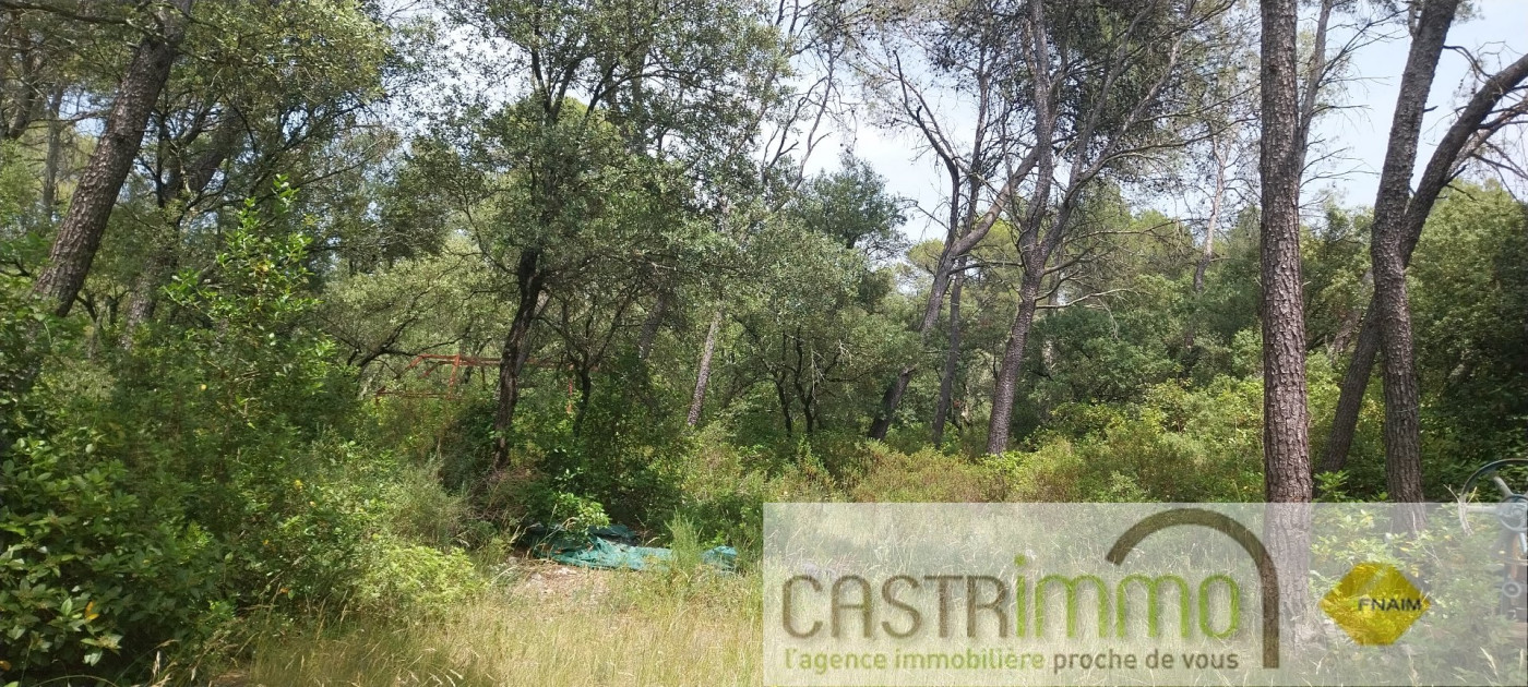 vente Terrain boisé – forêt Buzignargues - Photo 3