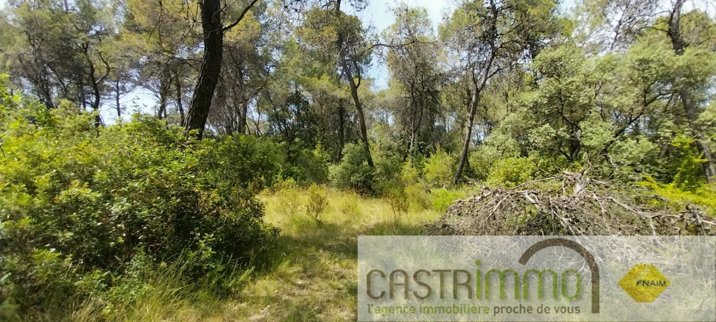 vente Terrain boisé – forêt Buzignargues - Photo 1
