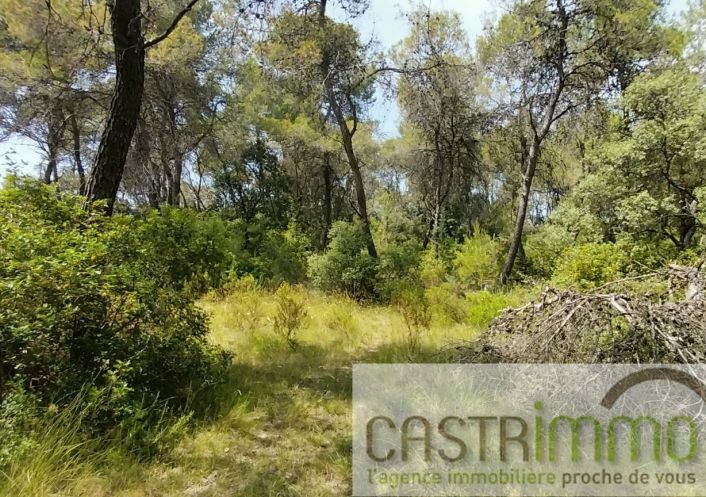 vente Terrain boisé – forêt Buzignargues