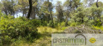 vente Terrain boisé – forêt Buzignargues