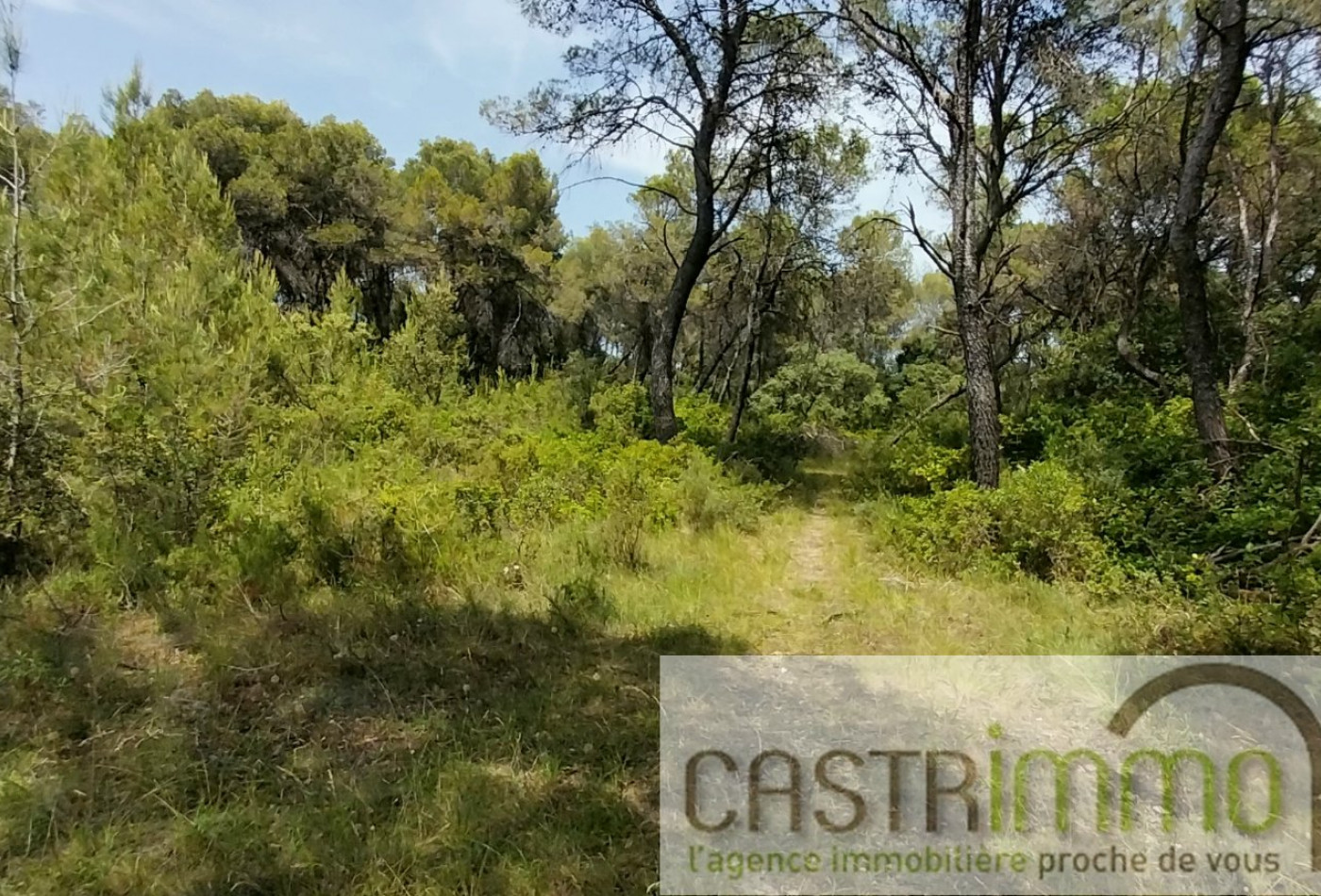vente Terrain boisé – forêt Buzignargues - Photo 2