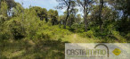 vente Terrain boisé – forêt Buzignargues