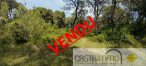 vente Terrain boisé – forêt Buzignargues