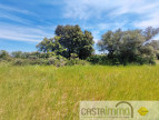vente Terrain constructible Garrigues