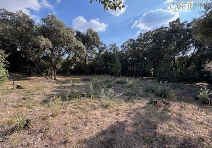 vente Terrain constructible Sussargues