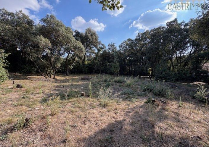 vente Terrain constructible Sussargues