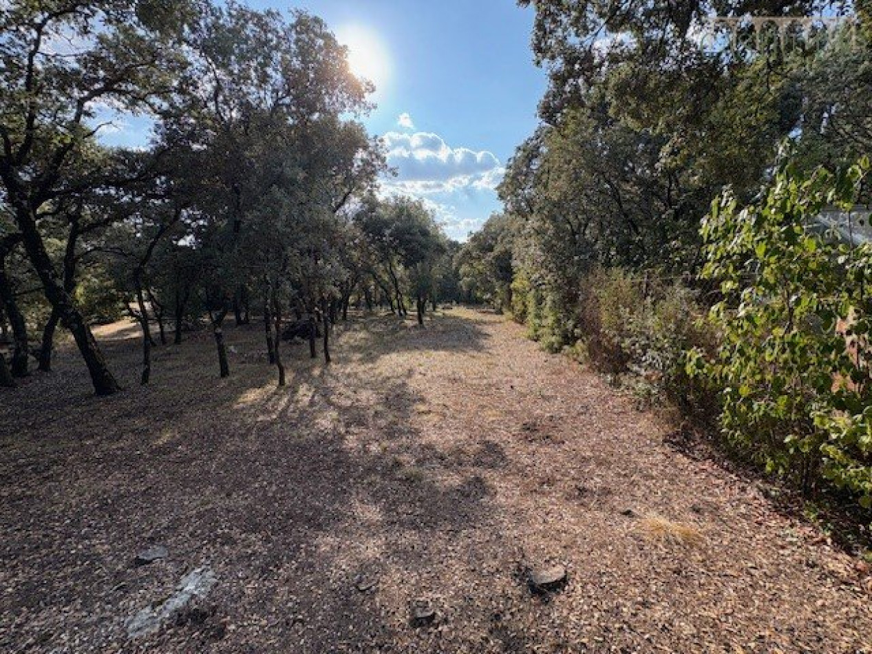 vente Terrain constructible Sussargues - Photo 3