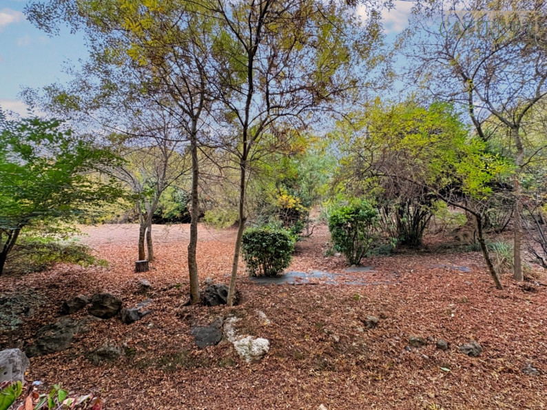 vente Studio Montpellier - Photo 6