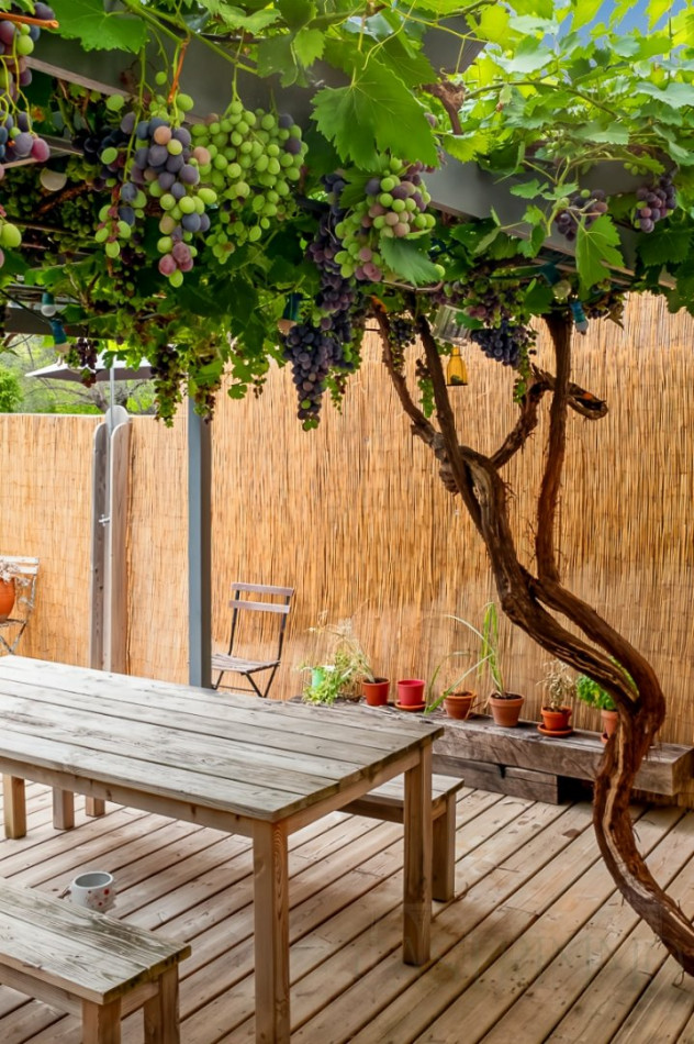 vente Maison de village Baillargues - Photo 10