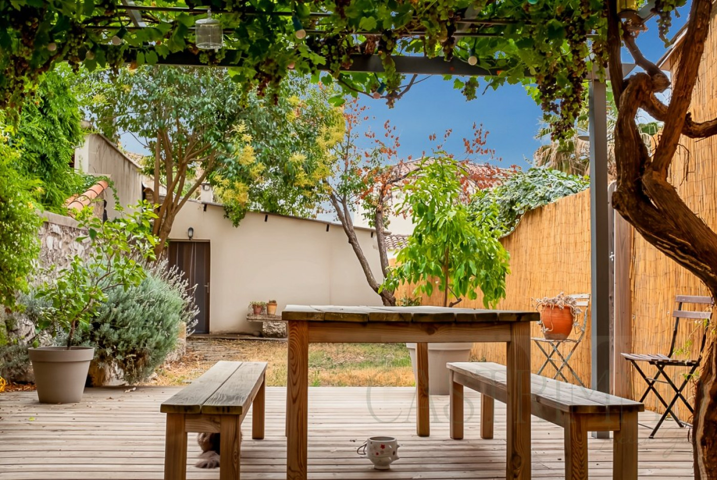 vente Maison de village Baillargues - Photo 5