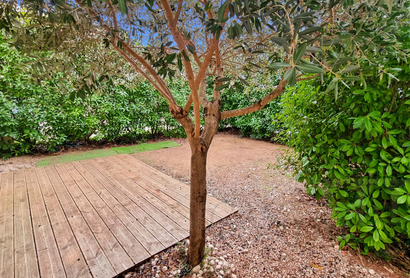 location Maison Castries - Photo 7