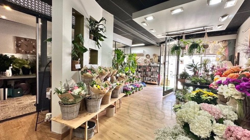 vente Agence Castries - Photo 5