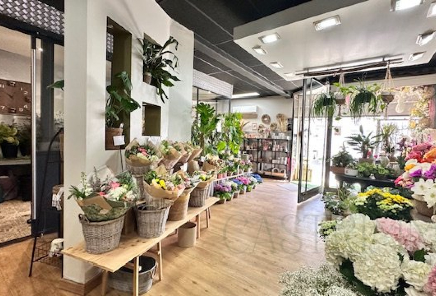 vente Local commercial Castries - Photo 5