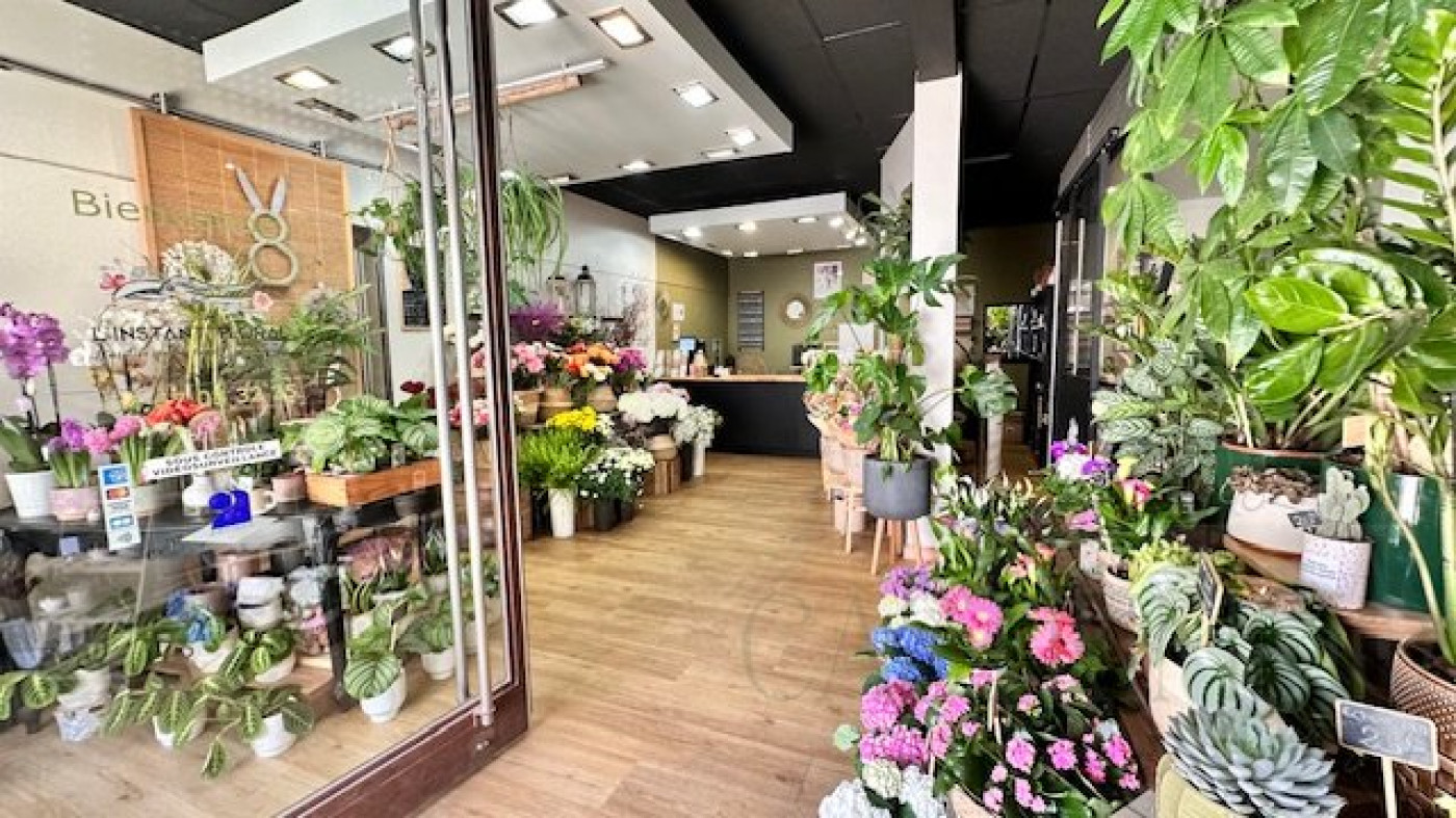 vente Local commercial Castries - Photo 3