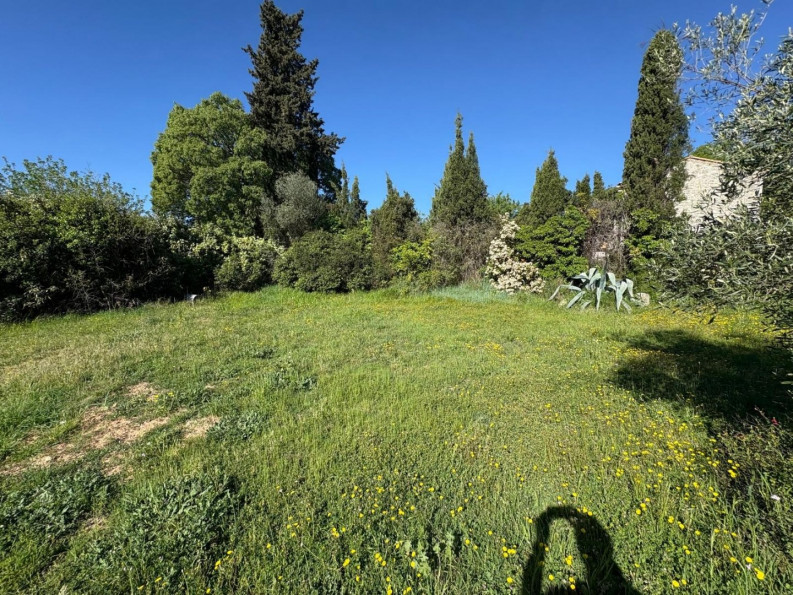 vente Terrain constructible Sussargues - Photo 5