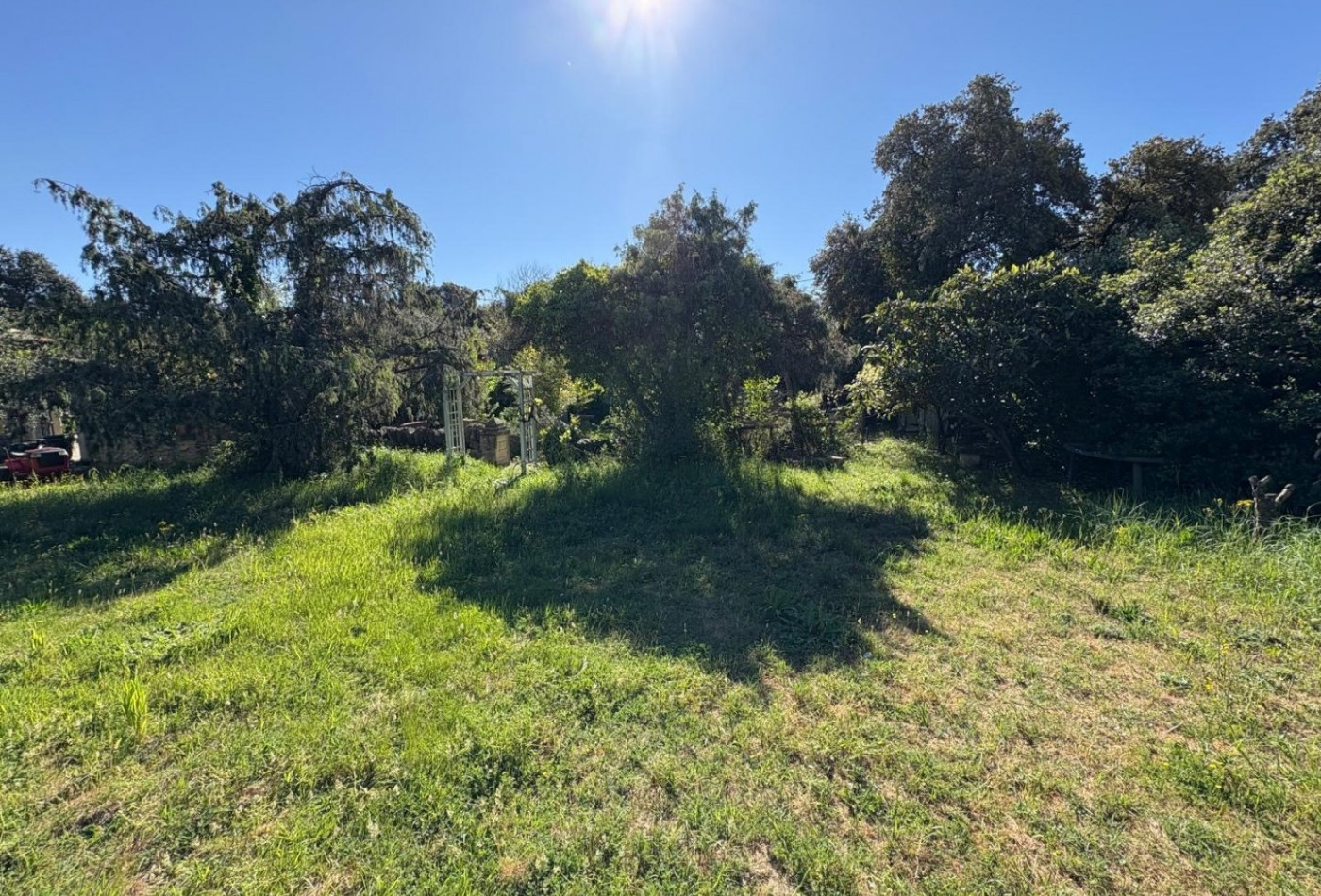 vente Terrain constructible Sussargues - Photo 3