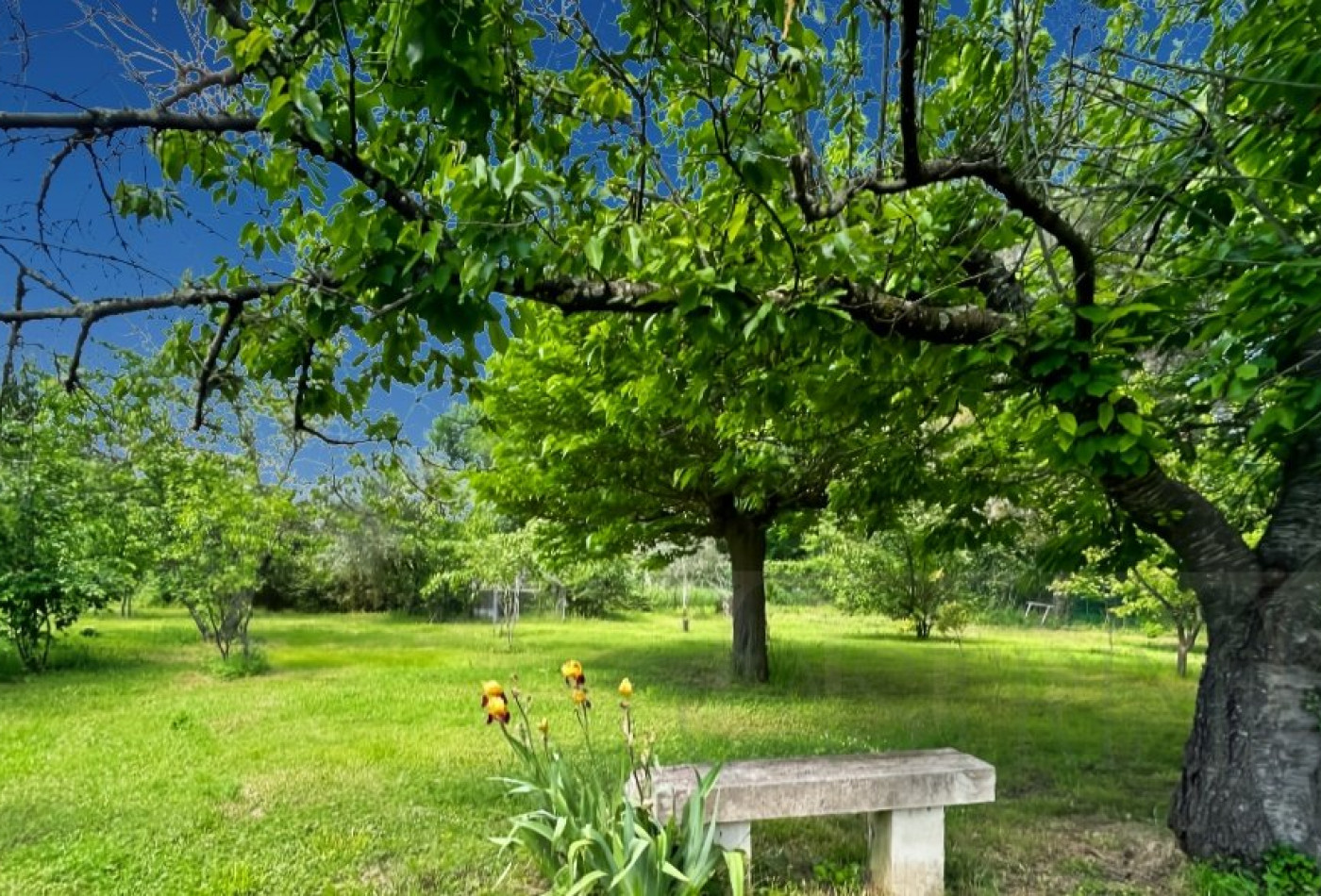 vente Maison Saussines - Photo 4