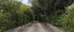 location Maison de village Sussargues