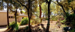 vente Maison Sussargues