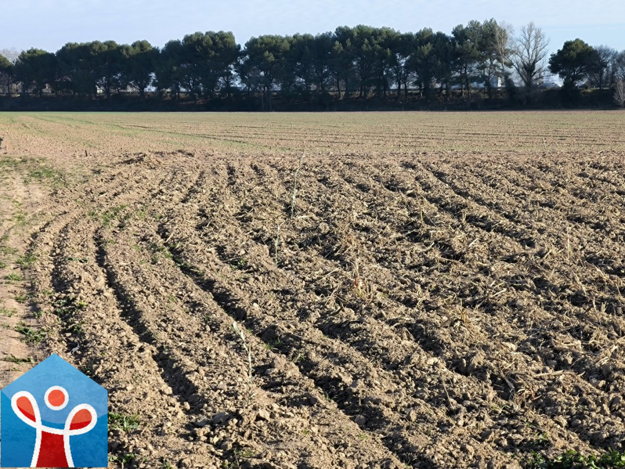 vente Terrain de loisir Beziers - Photo 7