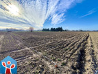 vente Terrain de loisir Villeneuve Les Beziers