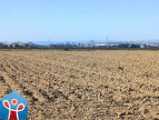 vente Terrain de loisir Villeneuve Les Beziers