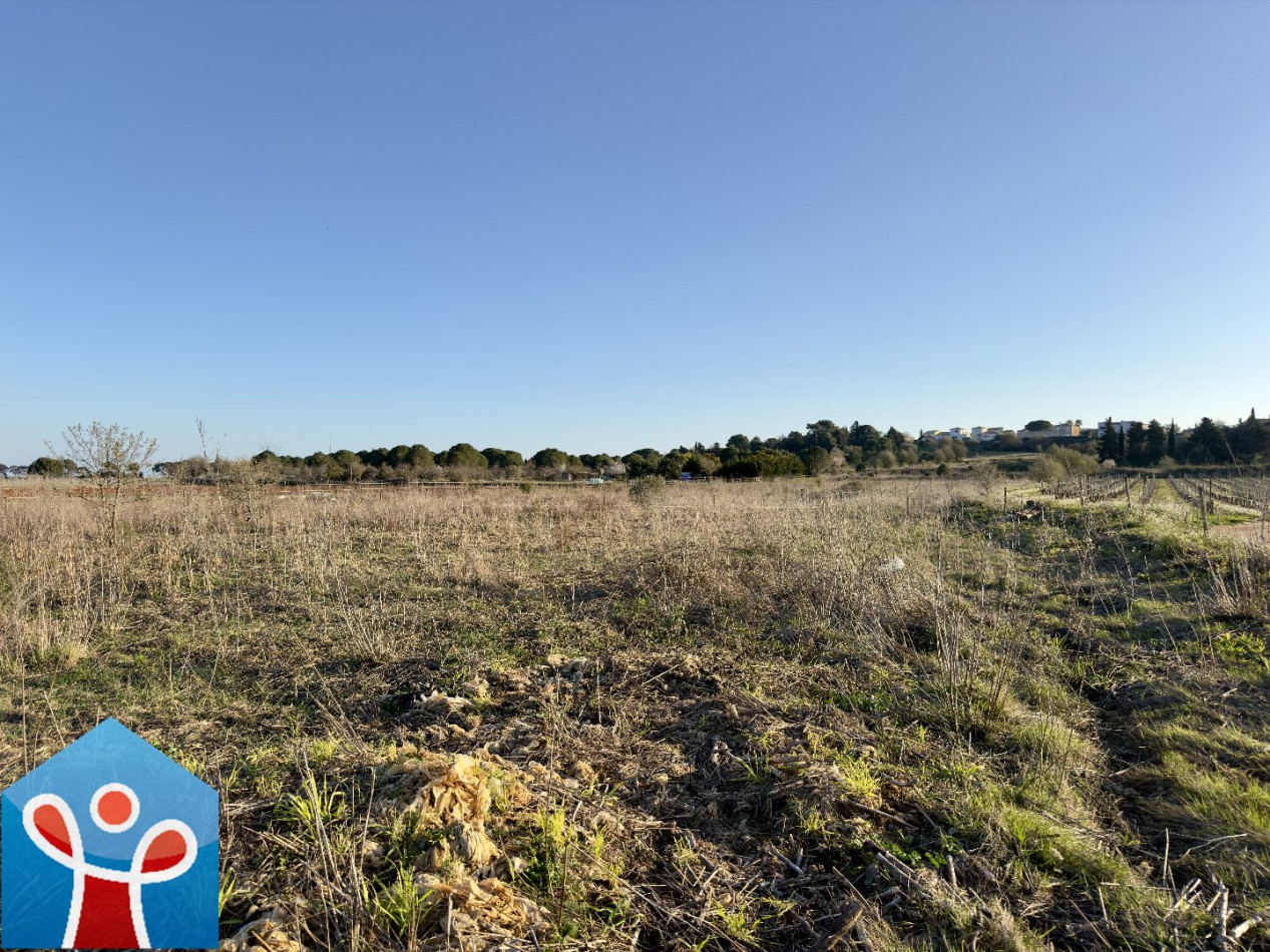 vente Terrain agricole Portiragnes - Photo 2