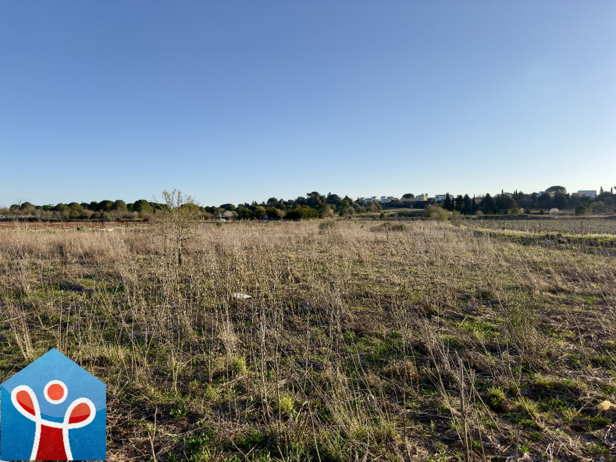 vente Terrain agricole Portiragnes - Photo 3