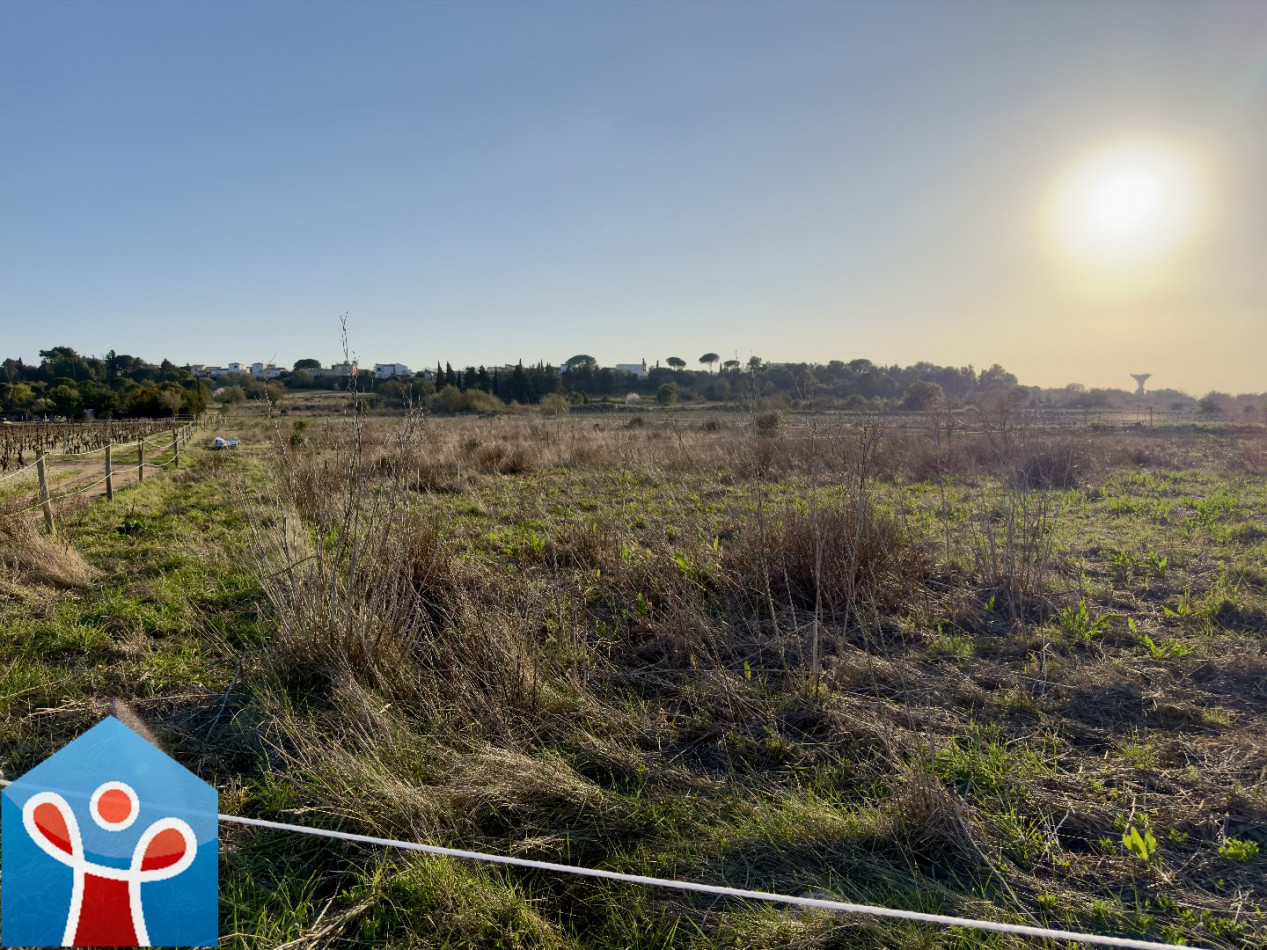 vente Terrain agricole Portiragnes - Photo 5