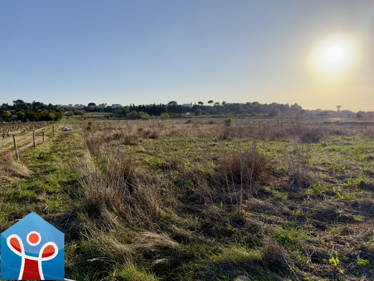 vente Terrain agricole Portiragnes - Photo 6