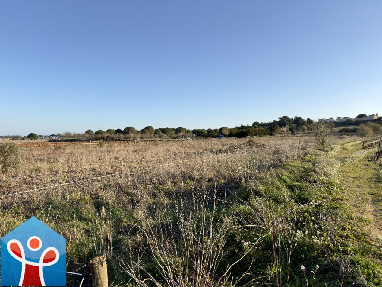 vente Terrain agricole Portiragnes - Photo 7