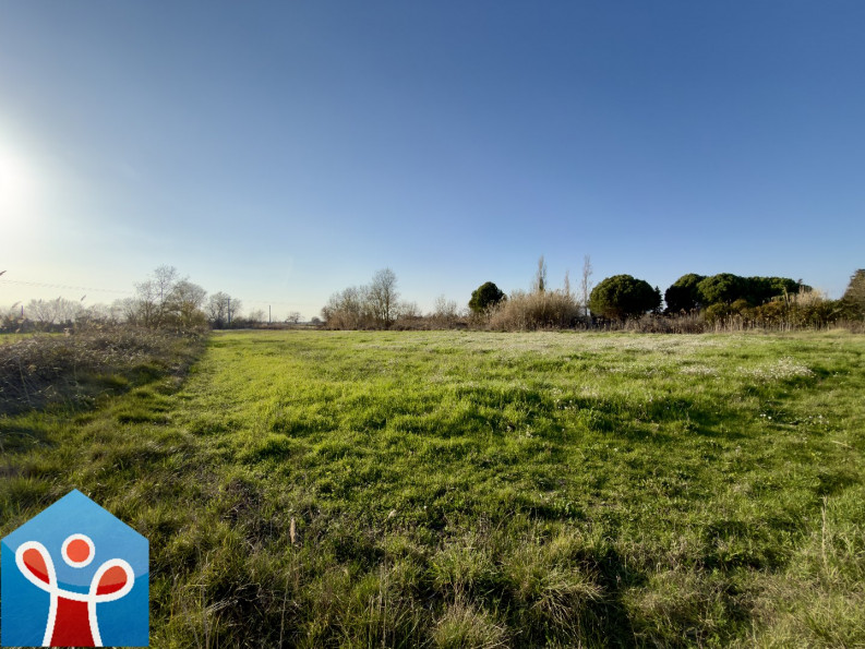 vente Terrain agricole Portiragnes - Photo 10