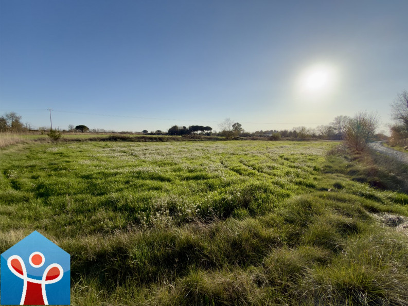 vente Terrain agricole Portiragnes - Photo 4