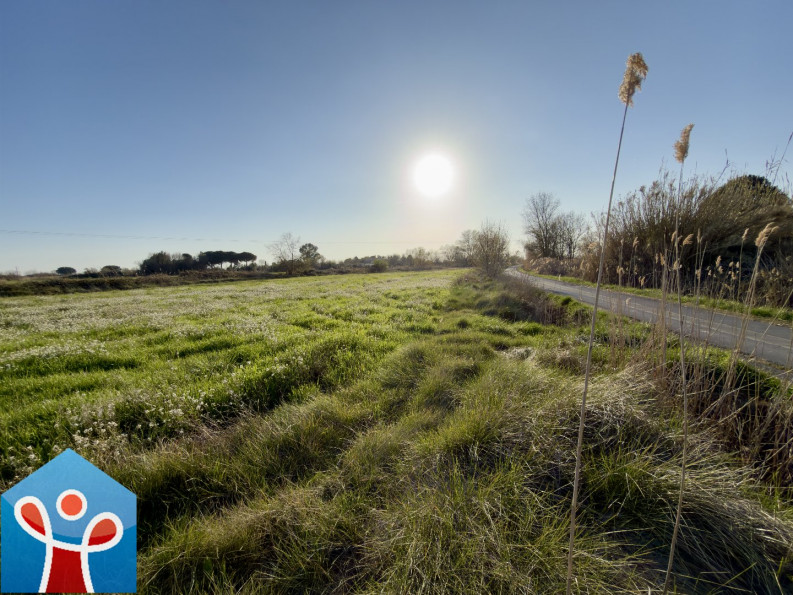 vente Terrain agricole Portiragnes - Photo 1