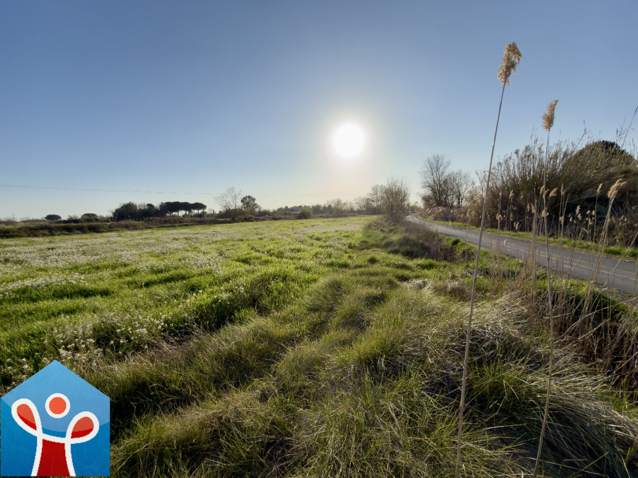 vente Terrain agricole Portiragnes - Photo 1