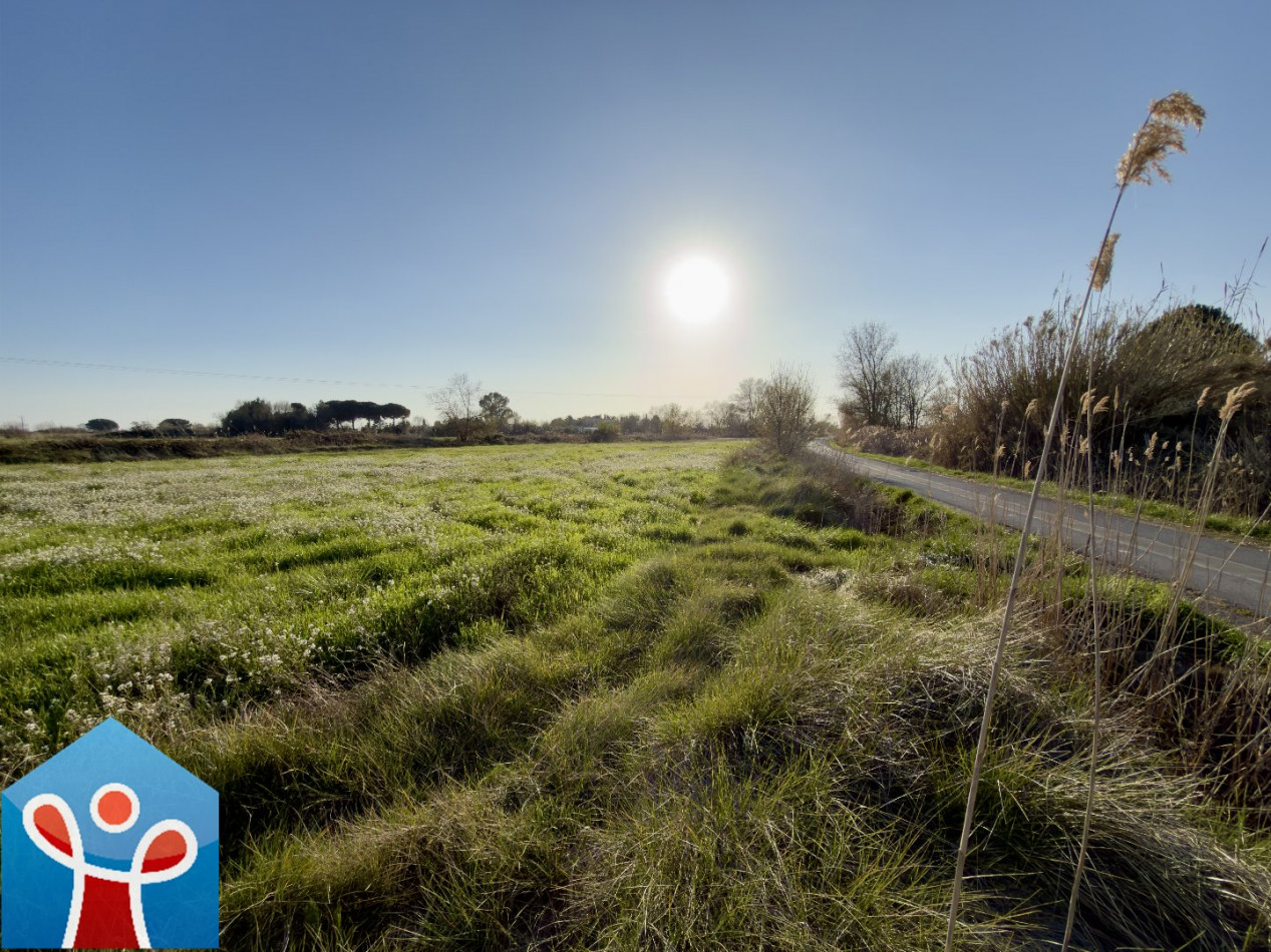 vente Terrain agricole Portiragnes - Photo 5