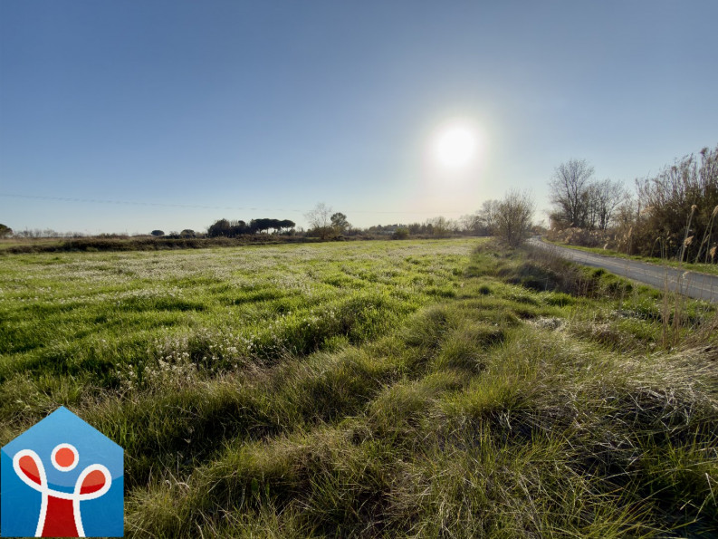vente Terrain agricole Portiragnes - Photo 6